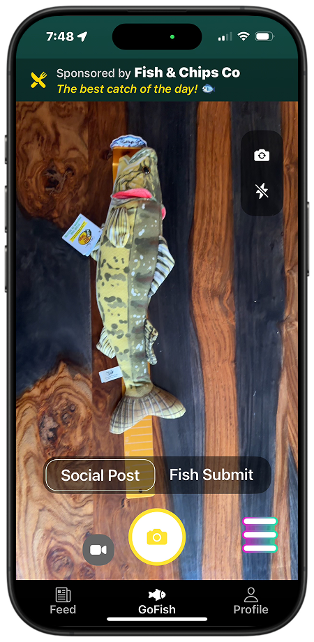 Go Fish Demo